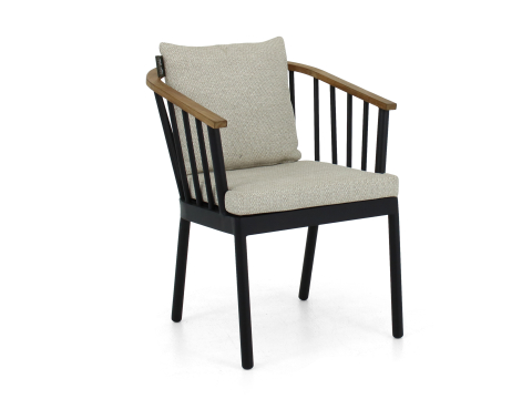 Apple Bee Condor Dining Armchair Alu black